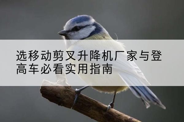 盐湖电动升降机厂家-选移动剪叉升降机厂家与登高车必看实用指南