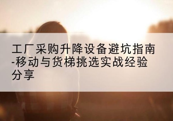 盐湖移动式升降机怎么选-工厂采购升降设备避坑指南-移动与货梯挑选实战经验分享