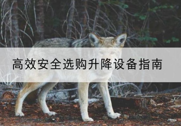 盐湖升降货梯厂家推荐-*安全选购升降设备指南
